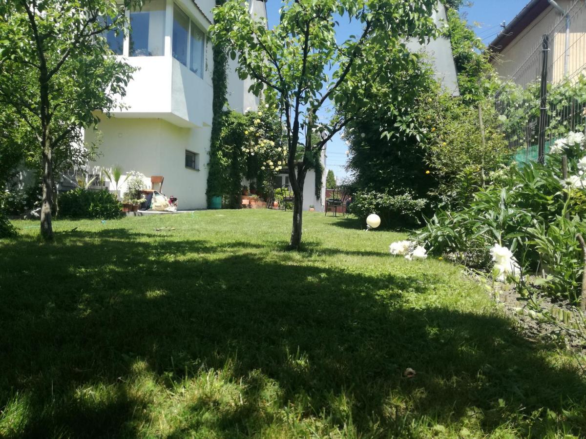 Casa Zora Lägenhet Alba Iulia Exteriör bild