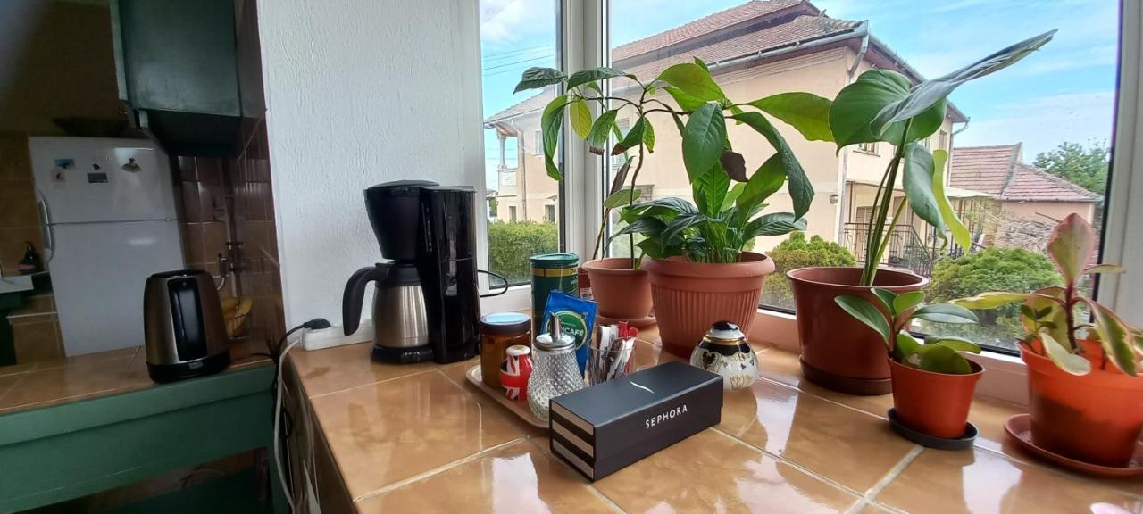 Casa Zora Lägenhet Alba Iulia Exteriör bild